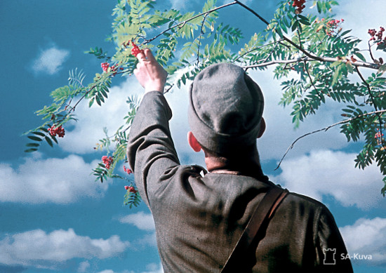 sakuva14