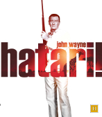 hatari