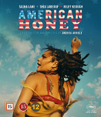 americanhoneybd