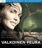 valkoinenpeurabdpieni