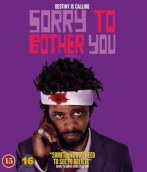 sorrytobotheryoubd