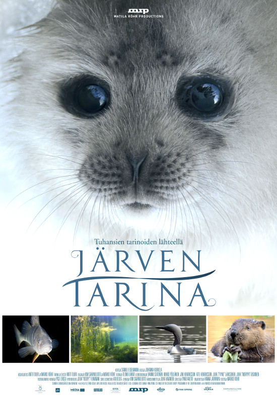 jarventarinaiso