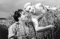 kuningaskulkureitten1t