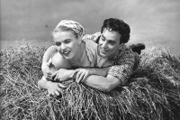 kuningaskulkureitten2t