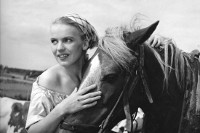 kuningaskulkureitten3t