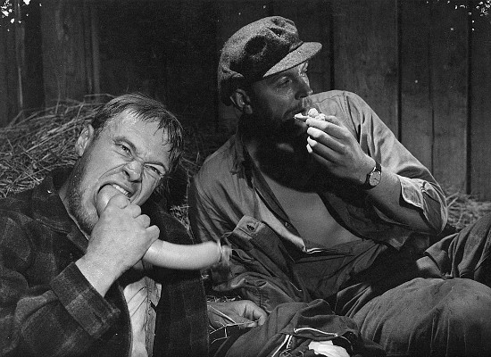 hopeaarajantakaa12pakkasspede