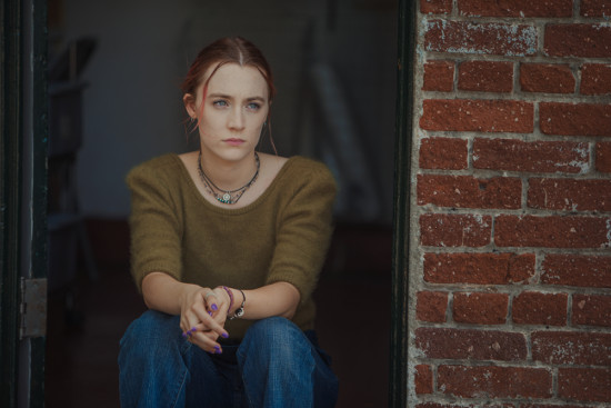 ladybird1still