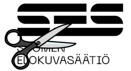 sesleikkaus